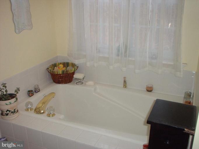 15314 Liberty Road Mount Airy, MD 21771 - Photo 8 of 9 Master Bath