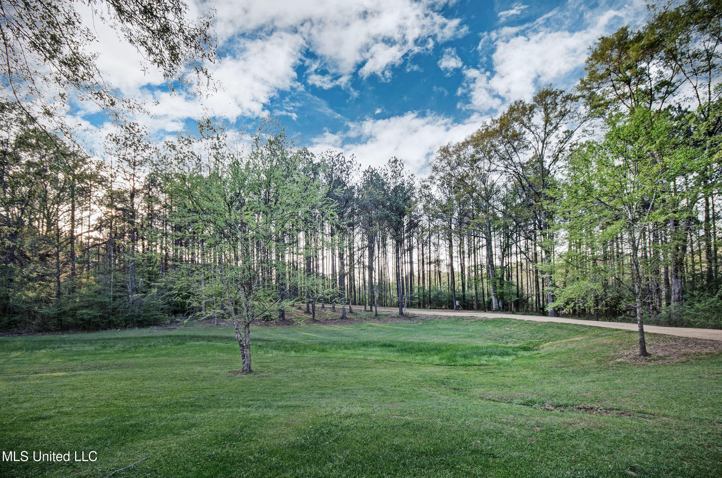329 County Line Road Mendenhall, MS 39114 - Photo 5 of 77 IMGP3701_2_3