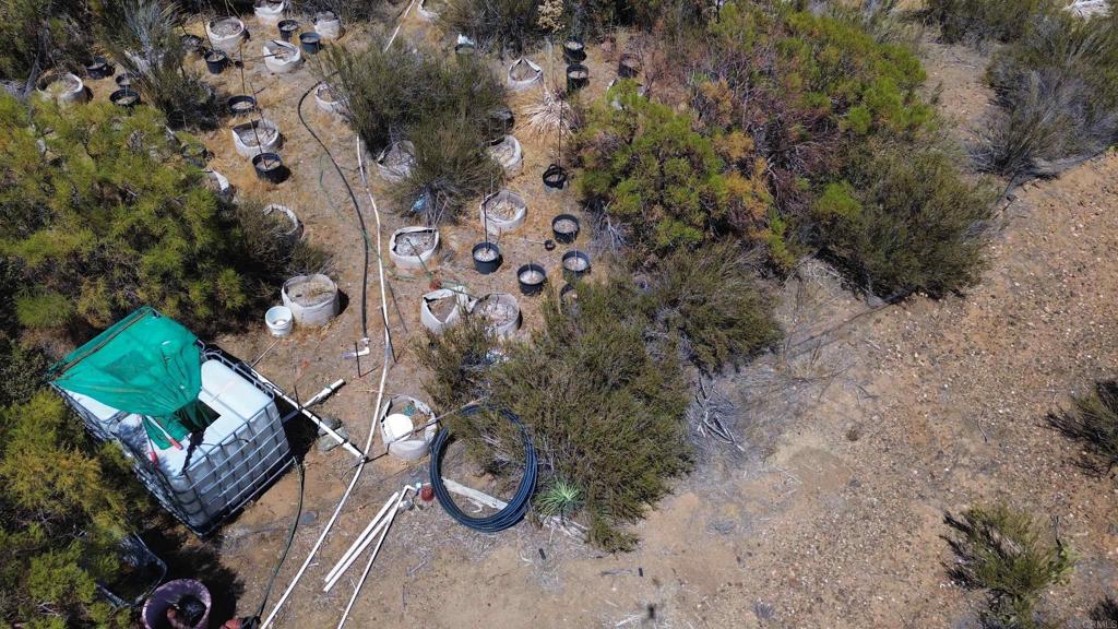 46400 Terwilliger Road Anza, CA 92539 - Photo 3 of 10 a view of a wooden house with a tree