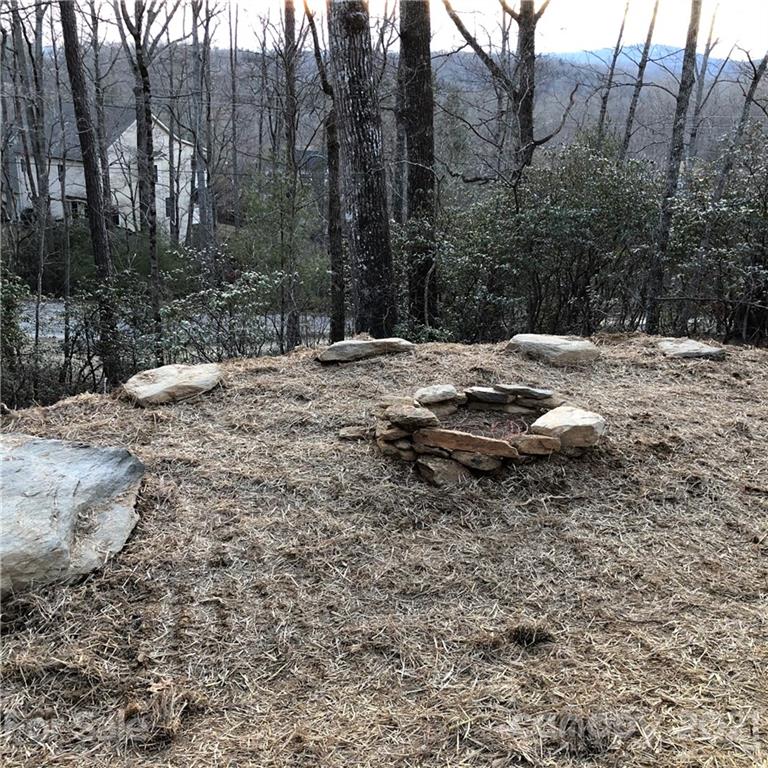 203 Whitaker Road Fairview, NC 28730 - Photo 13 of 13 Gallery Image 13