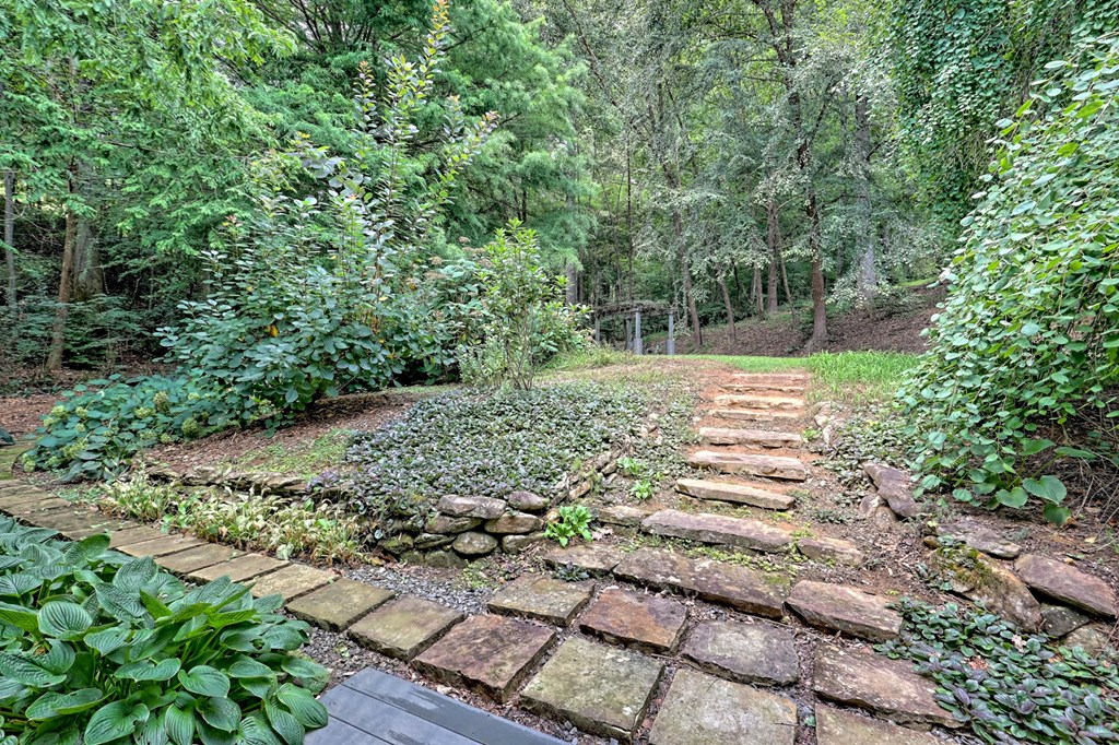 258 Low Gap Road Hayesville, NC 28904 - Photo 45 of 74 Gallery Image 45