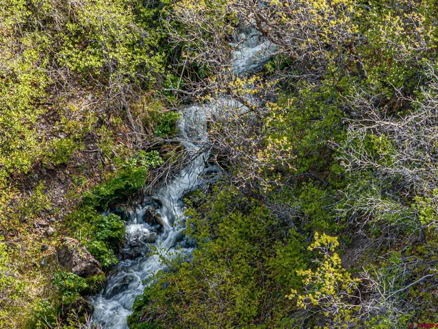 a view of a backyard with large trees