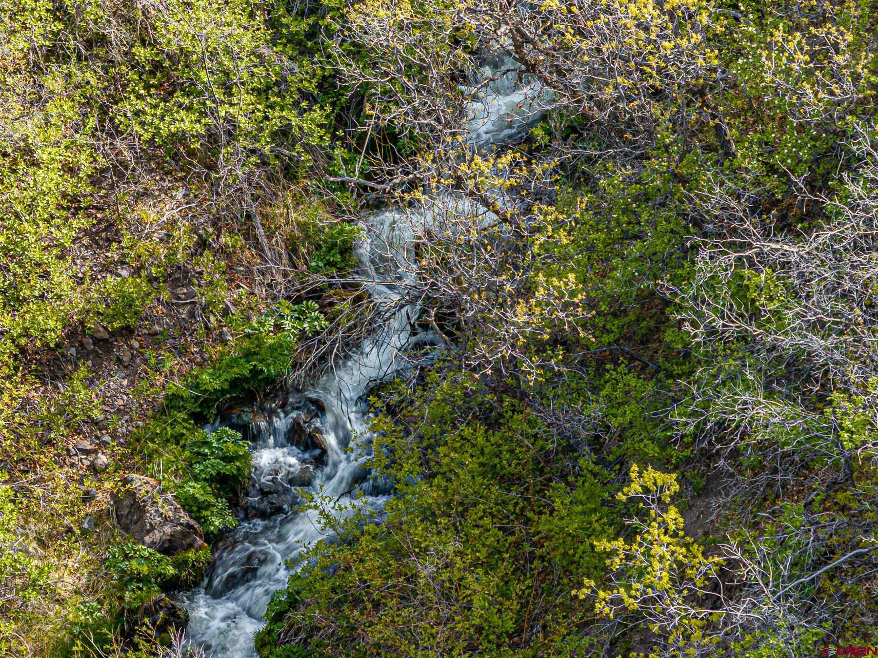 351 Slide Down Road Crawford, CO 81415 - Photo 11 of 34 a view of a yard