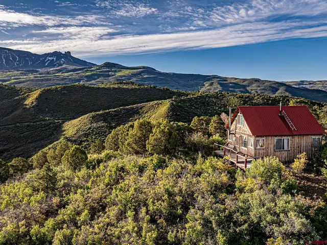 a view of an outdoor space yard