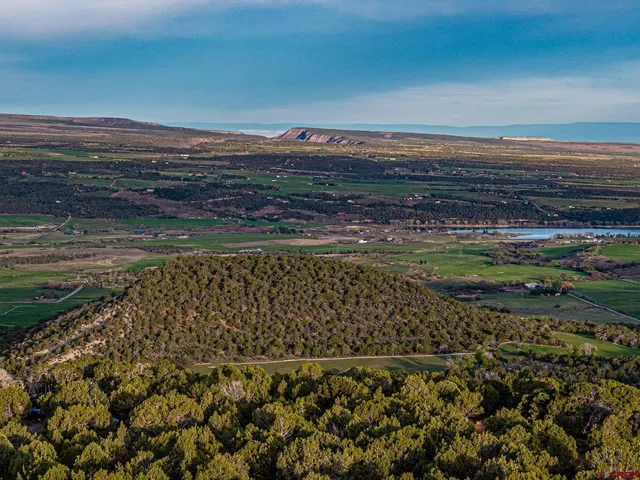 a view of a house with a lush green forest
