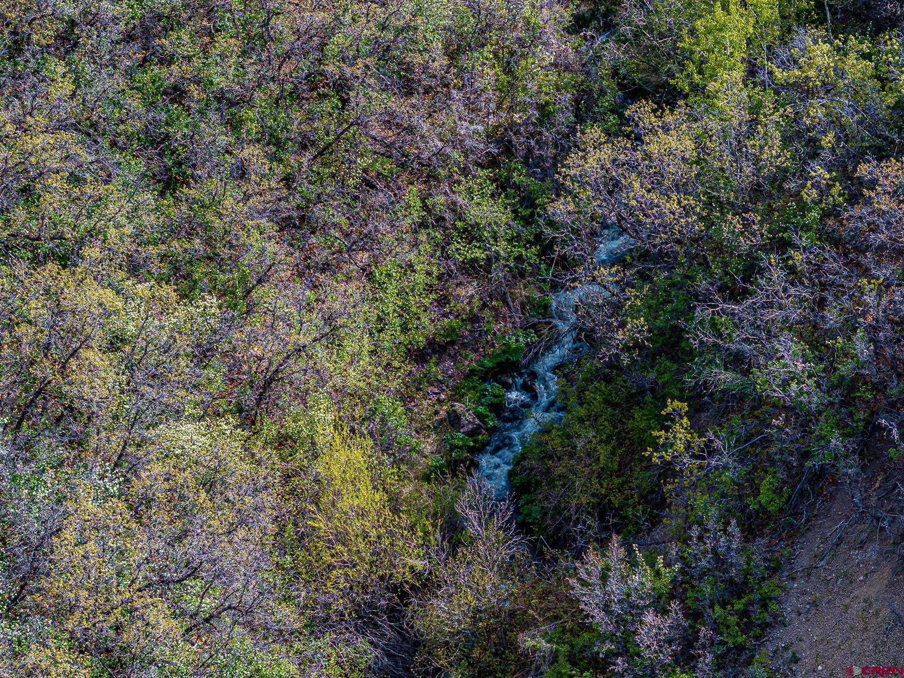 351 Slide Down Road Crawford, CO 81415 - Photo 34 of 34 a view of a house with a lush green forest