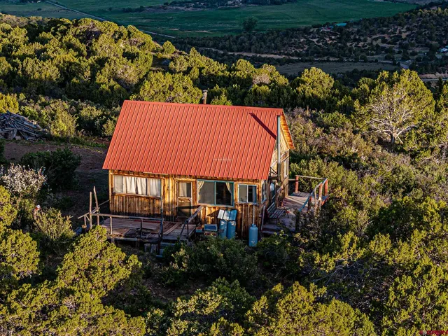 an outdoor space with seating area and trees in the background
