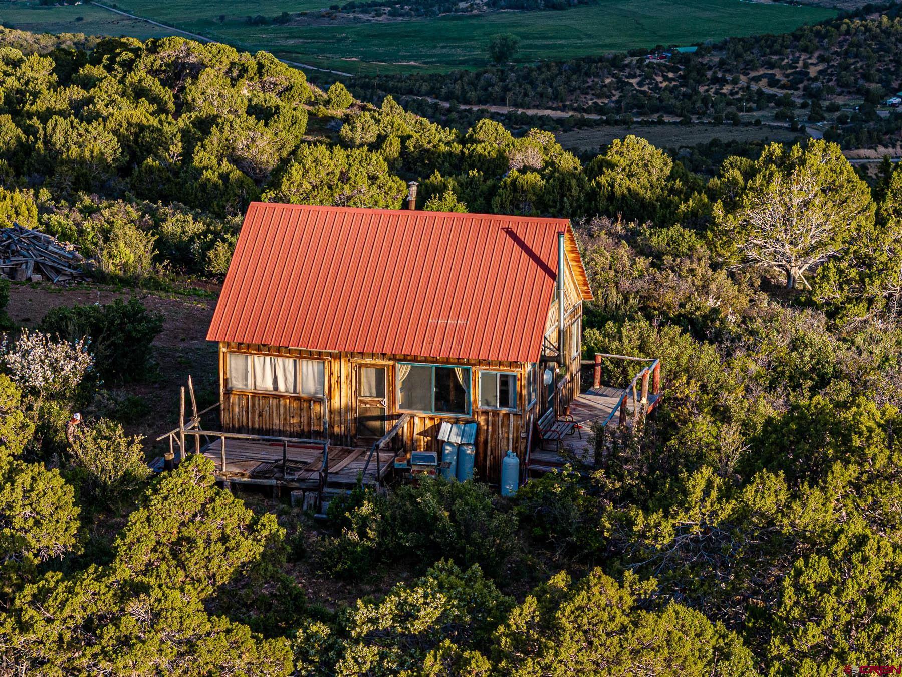 351 Slide Down Road Crawford, CO 81415 - Photo 4 of 34 an outdoor space with seating area and trees in the background