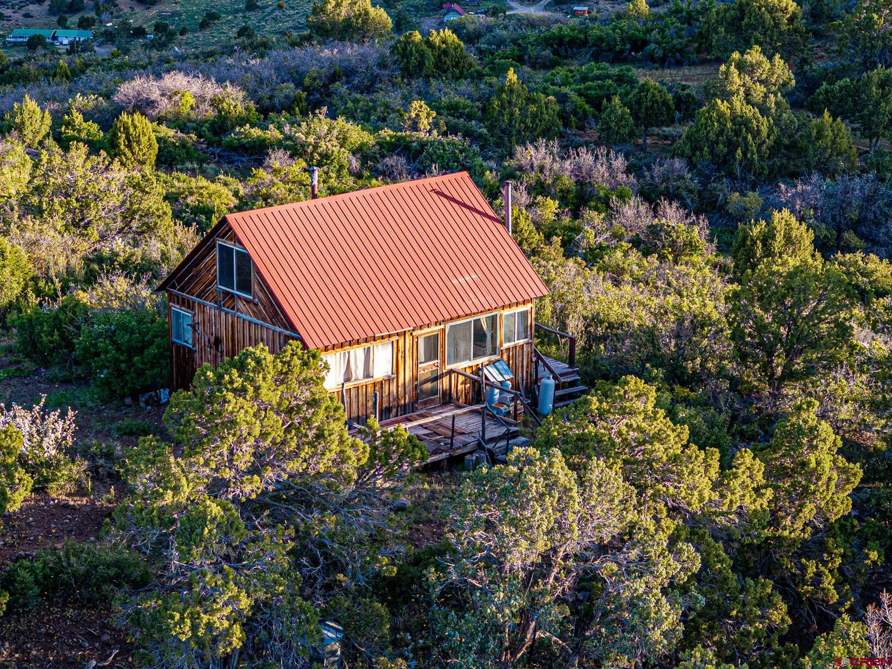 351 Slide Down Road Crawford, CO 81415 - Photo 5 of 34 a view of a house with a yard and garden