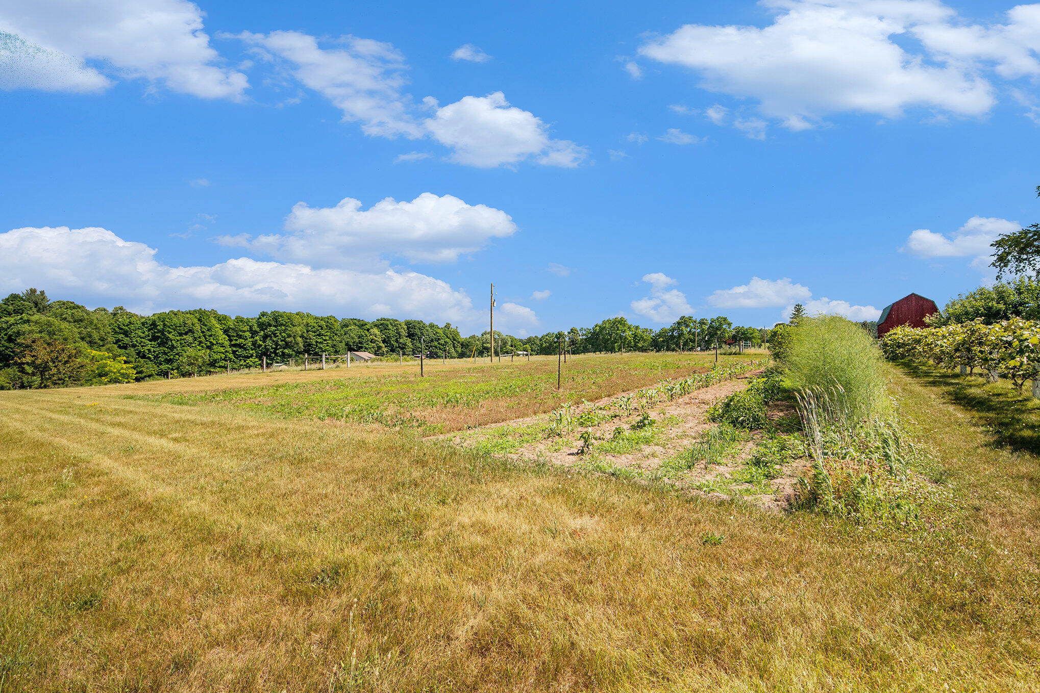 14656 Hersey Road Hersey, MI 49639 - Photo 31 of 70 031_img_6448_721