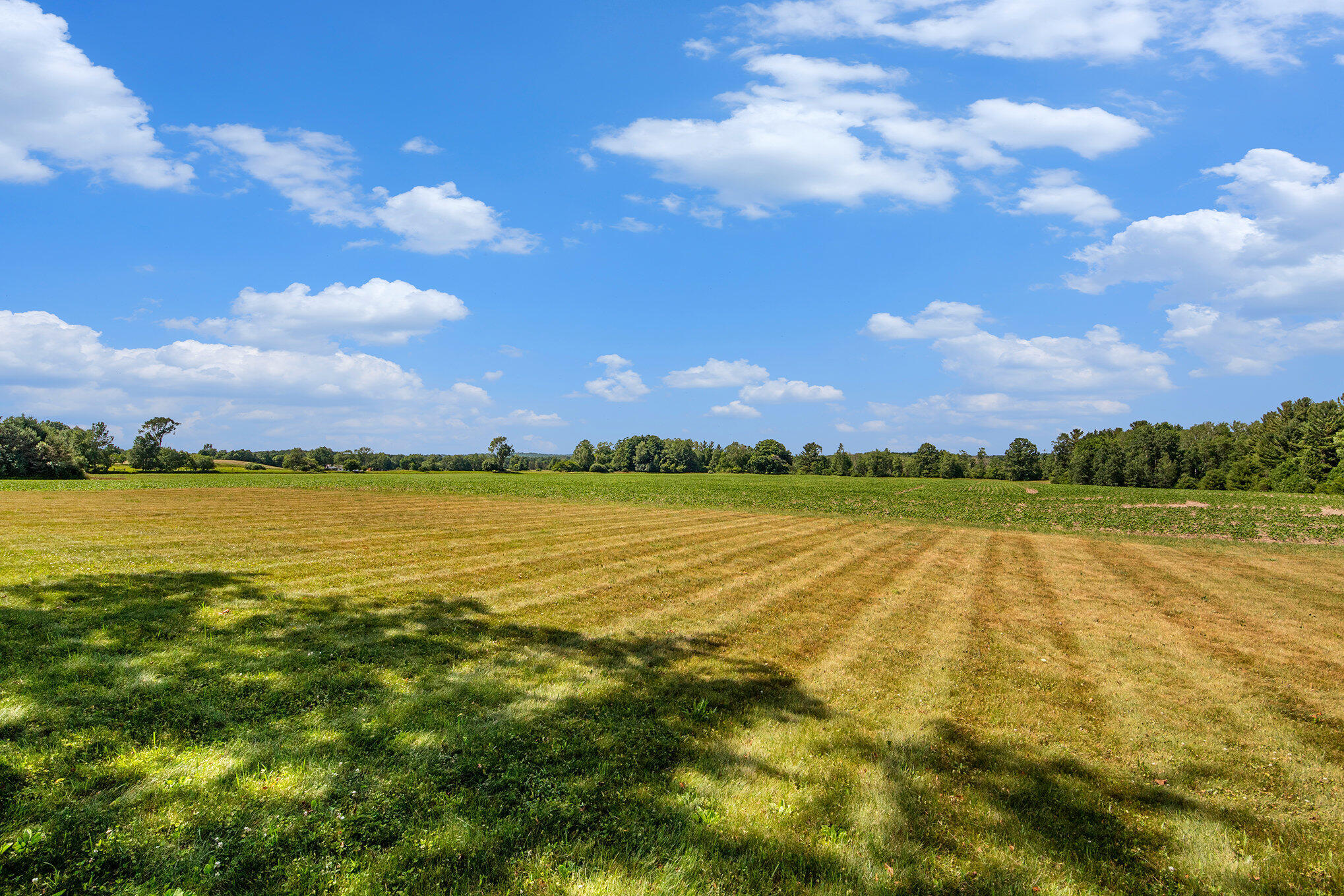 14656 Hersey Road Hersey, MI 49639 - Photo 32 of 70 032_img_6452_261