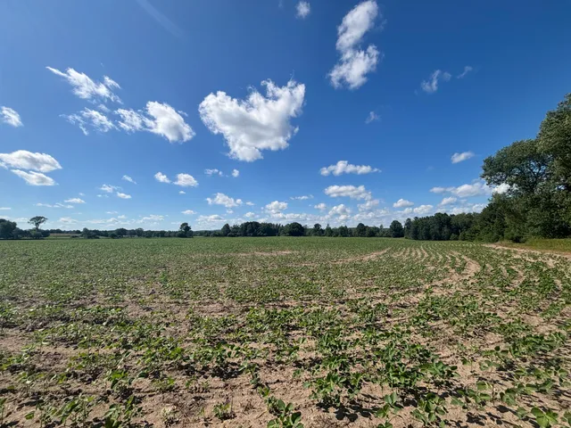 $774,000 | 14656 Hersey Road, Hersey, MI 49639