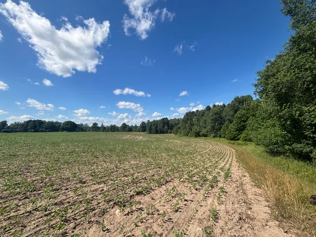 $774,000 | 14656 Hersey Road, Hersey, MI 49639