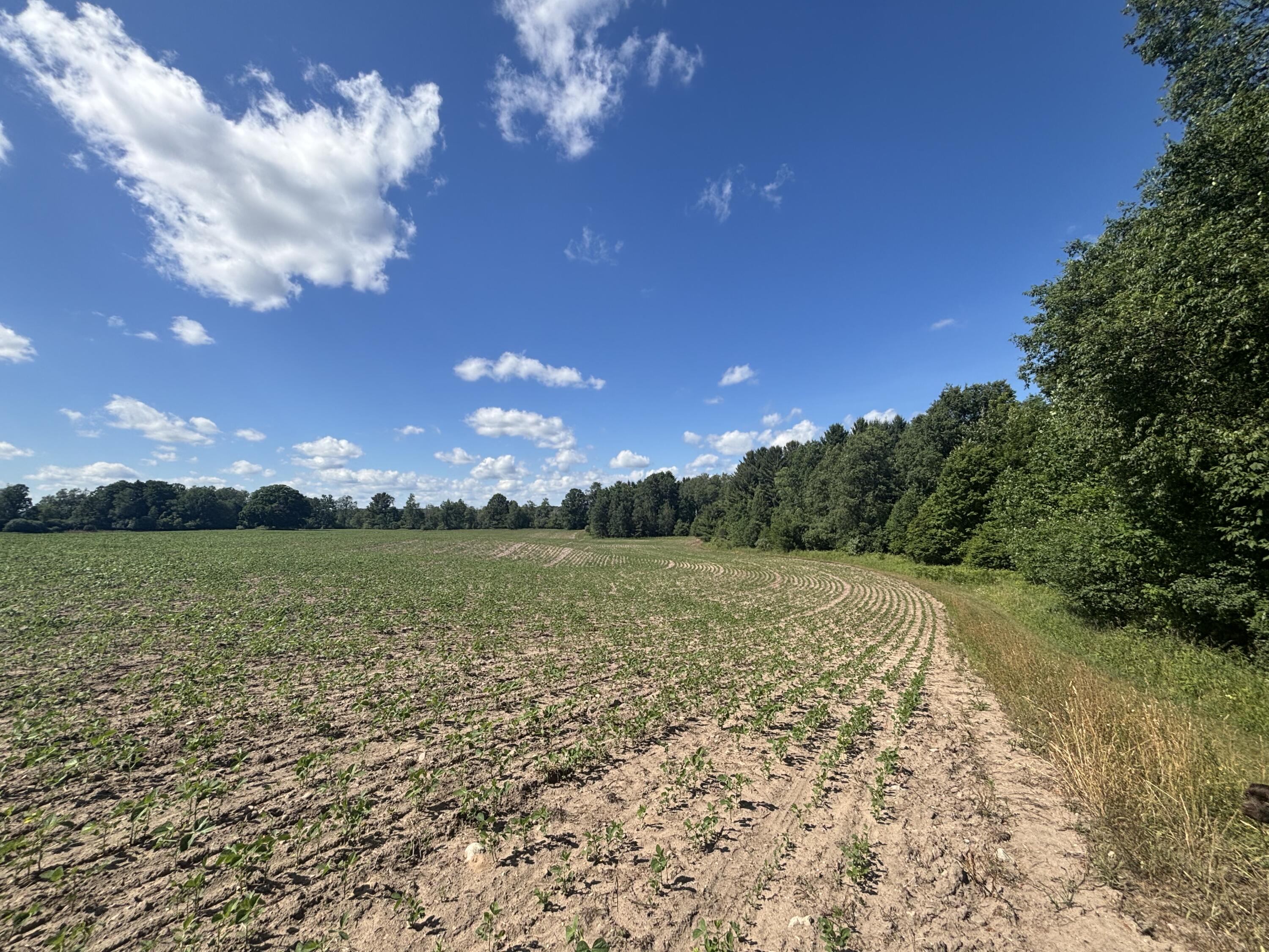 14656 Hersey Road Hersey, MI 49639 - Photo 43 of 70 IMG_8104