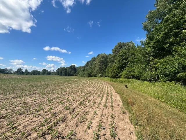 $774,000 | 14656 Hersey Road, Hersey, MI 49639