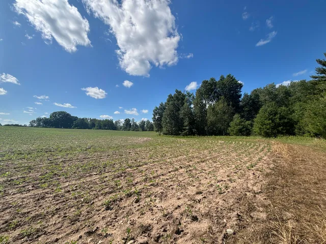 $774,000 | 14656 Hersey Road, Hersey, MI 49639