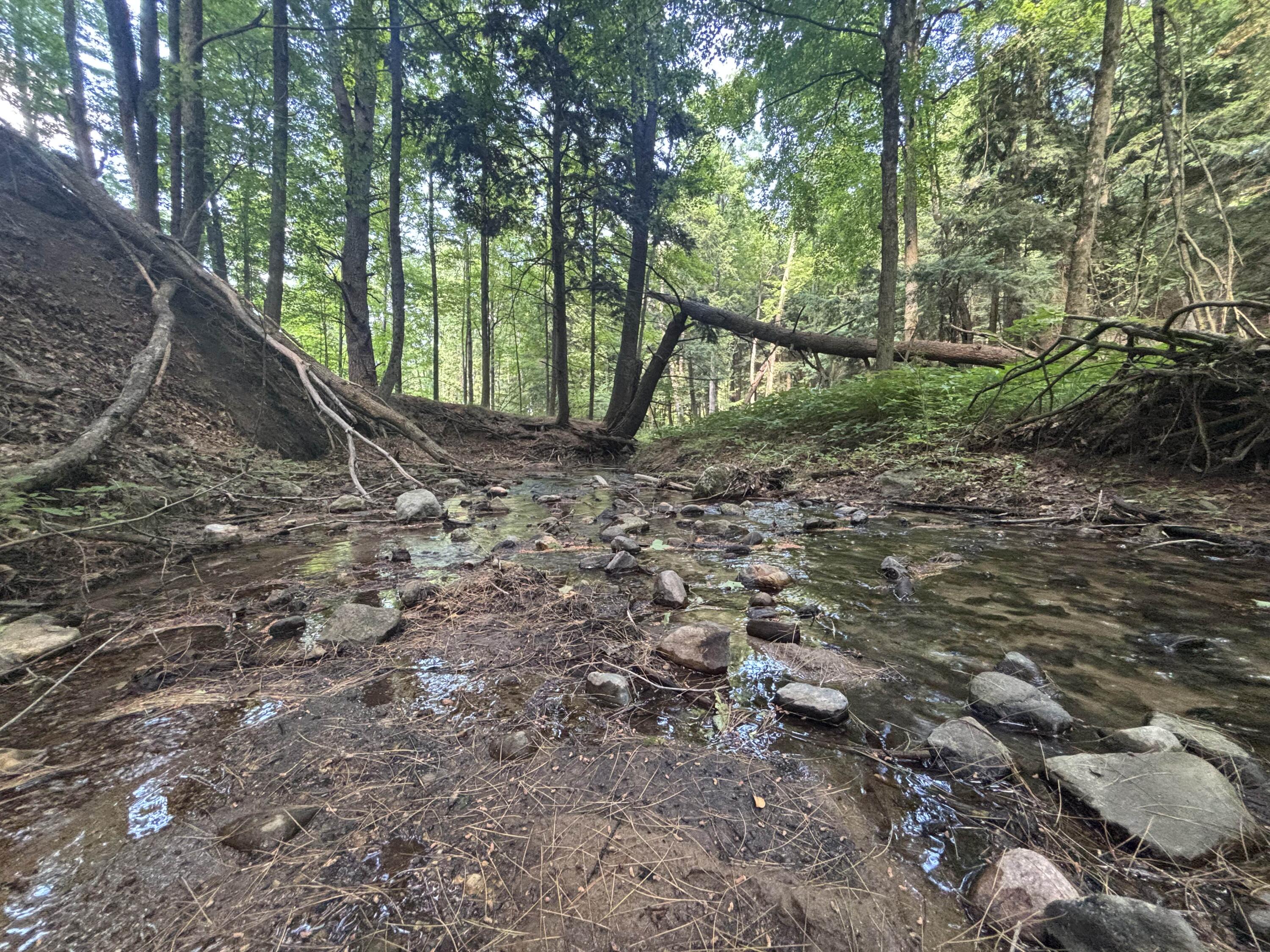 14656 Hersey Road Hersey, MI 49639 - Photo 47 of 70 IMG_8121