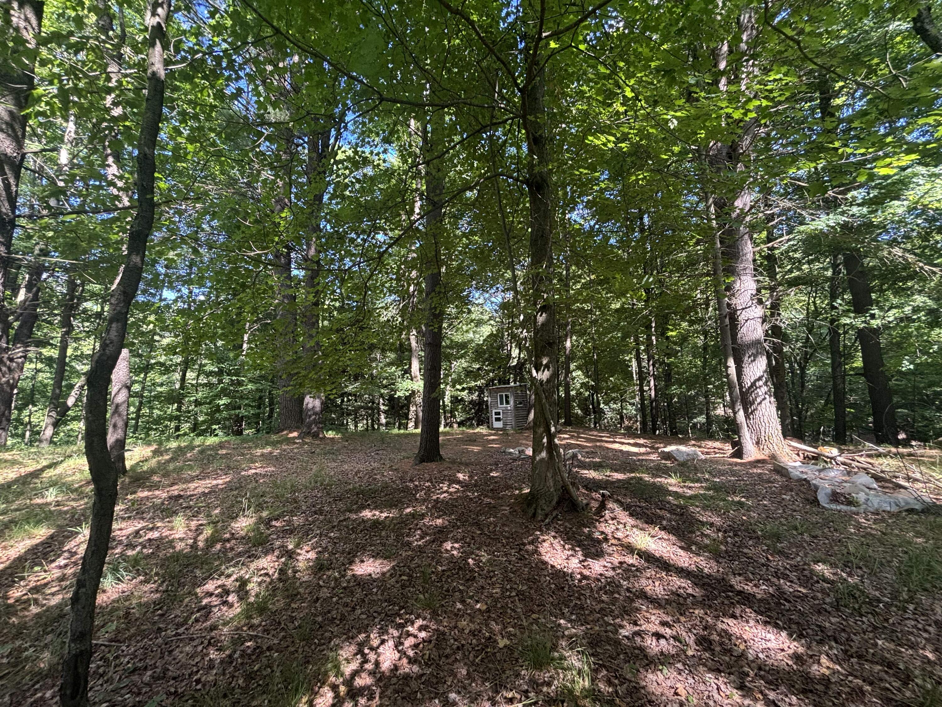 14656 Hersey Road Hersey, MI 49639 - Photo 50 of 70 IMG_8133