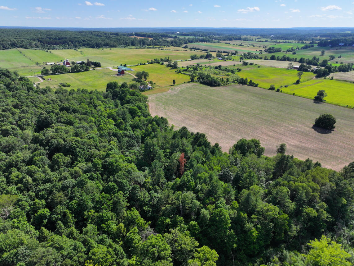 14656 Hersey Road Hersey, MI 49639 - Photo 56 of 70 DJI_20250701173519_0752_D