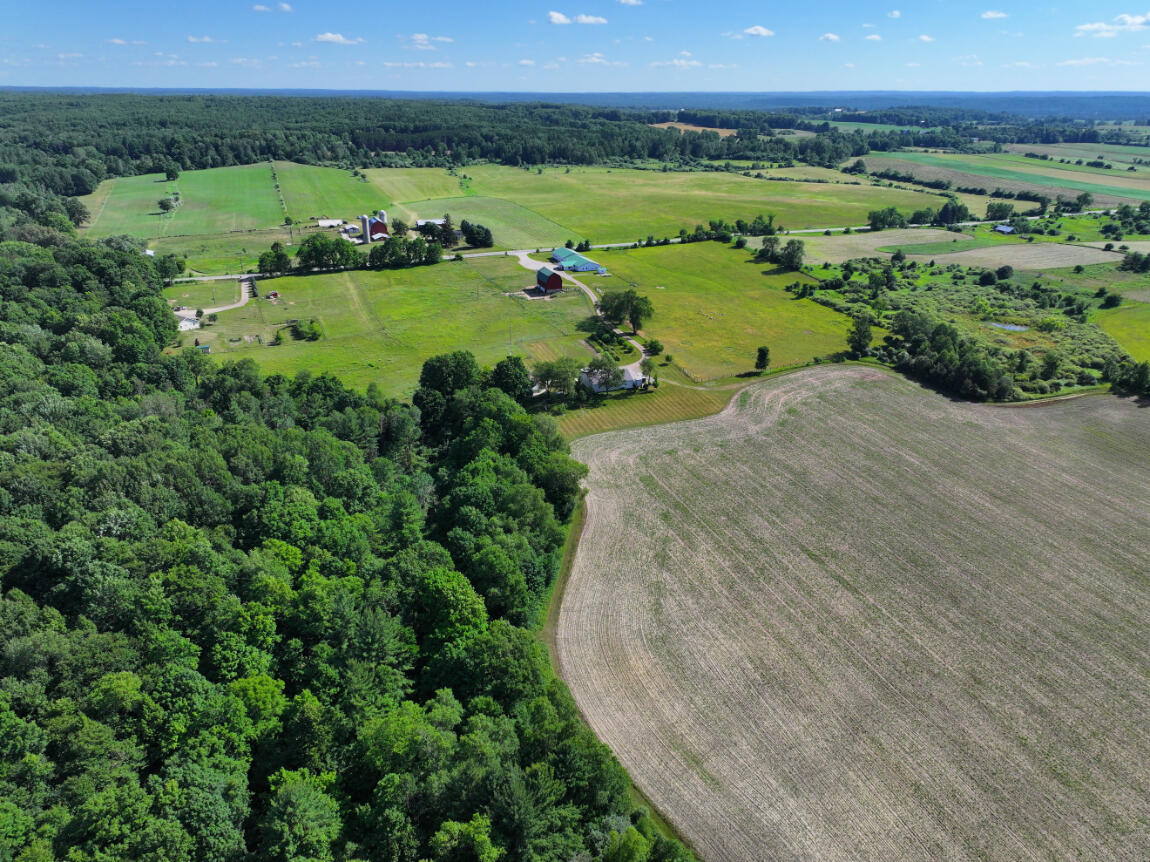 14656 Hersey Road Hersey, MI 49639 - Photo 57 of 70 DJI_20250701173531_0754_D