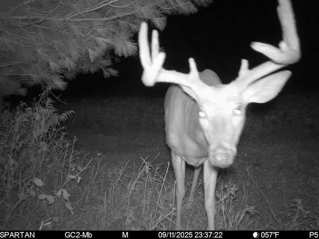 $774,000 | 14656 Hersey Road, Hersey, MI 49639