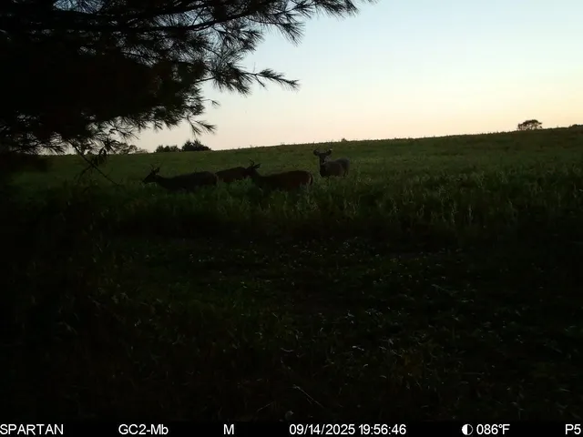 $774,000 | 14656 Hersey Road, Hersey, MI 49639