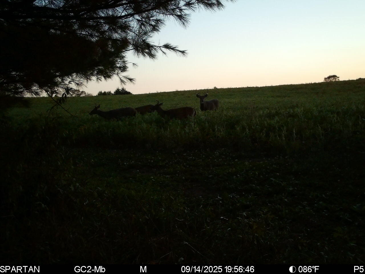 14656 Hersey Road Hersey, MI 49639 - Photo 65 of 70 Image-1