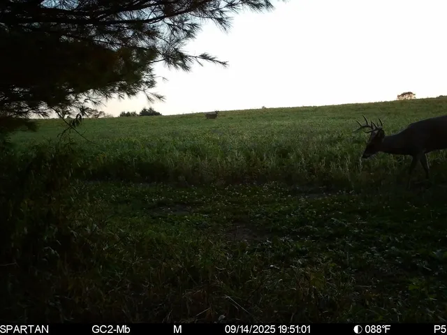 $774,000 | 14656 Hersey Road, Hersey, MI 49639