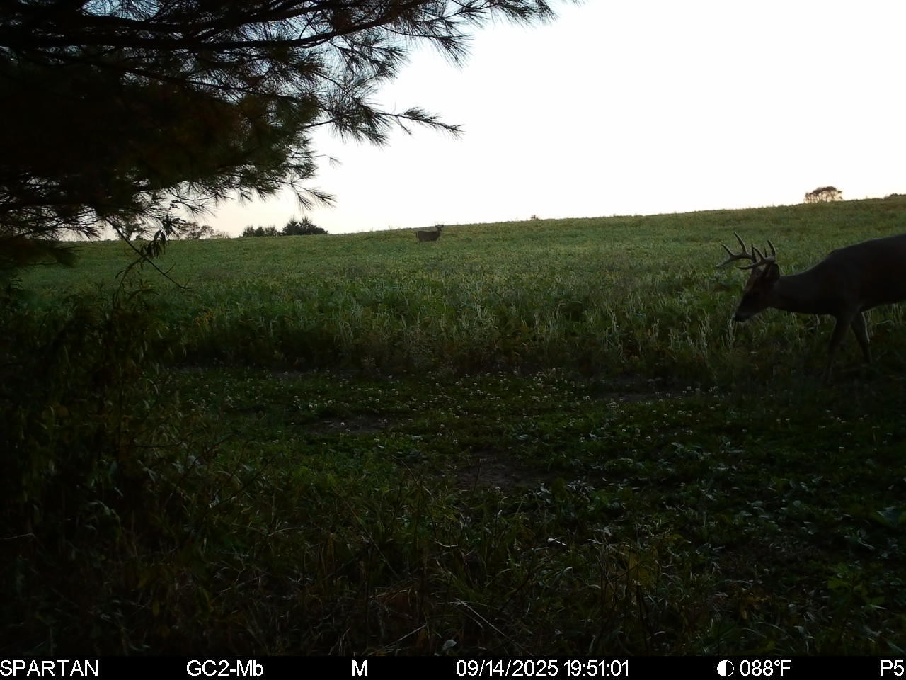 14656 Hersey Road Hersey, MI 49639 - Photo 66 of 70 Image-1