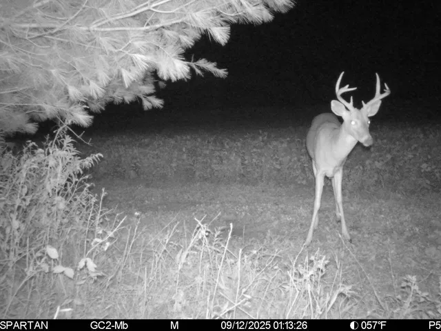 $774,000 | 14656 Hersey Road, Hersey, MI 49639