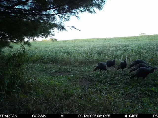 $774,000 | 14656 Hersey Road, Hersey, MI 49639