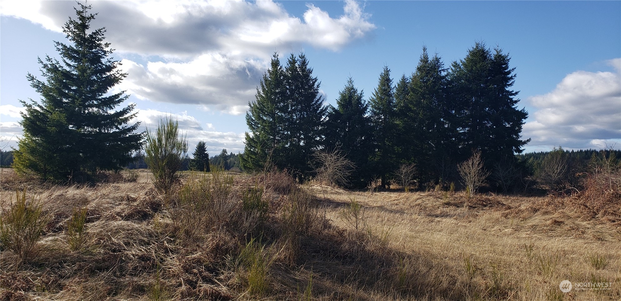 2644 Angus Road Southeast Tenino, WA 98589 - Photo 8 of 19 Gallery Image 8
