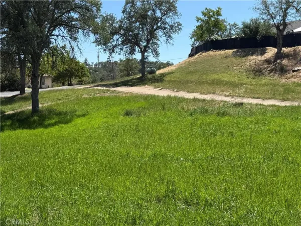 a view of a field with a tree