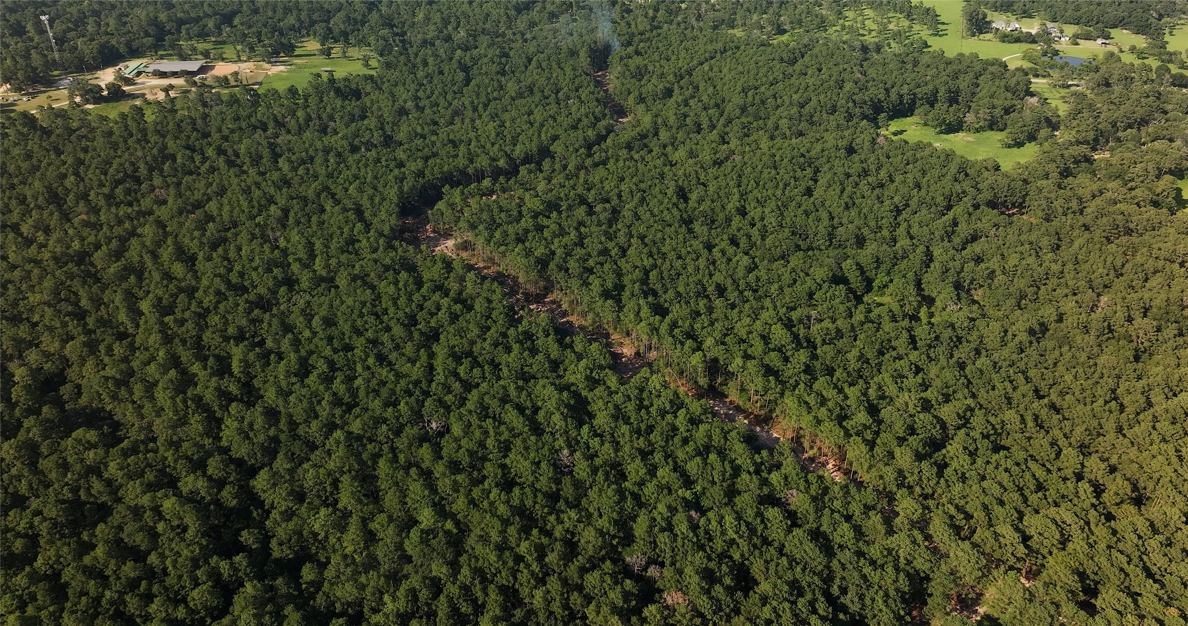 362 Rd Waller Tx 77484 Road Waller, TX 77484 - Photo 11 of 20 a view of a lush green forest