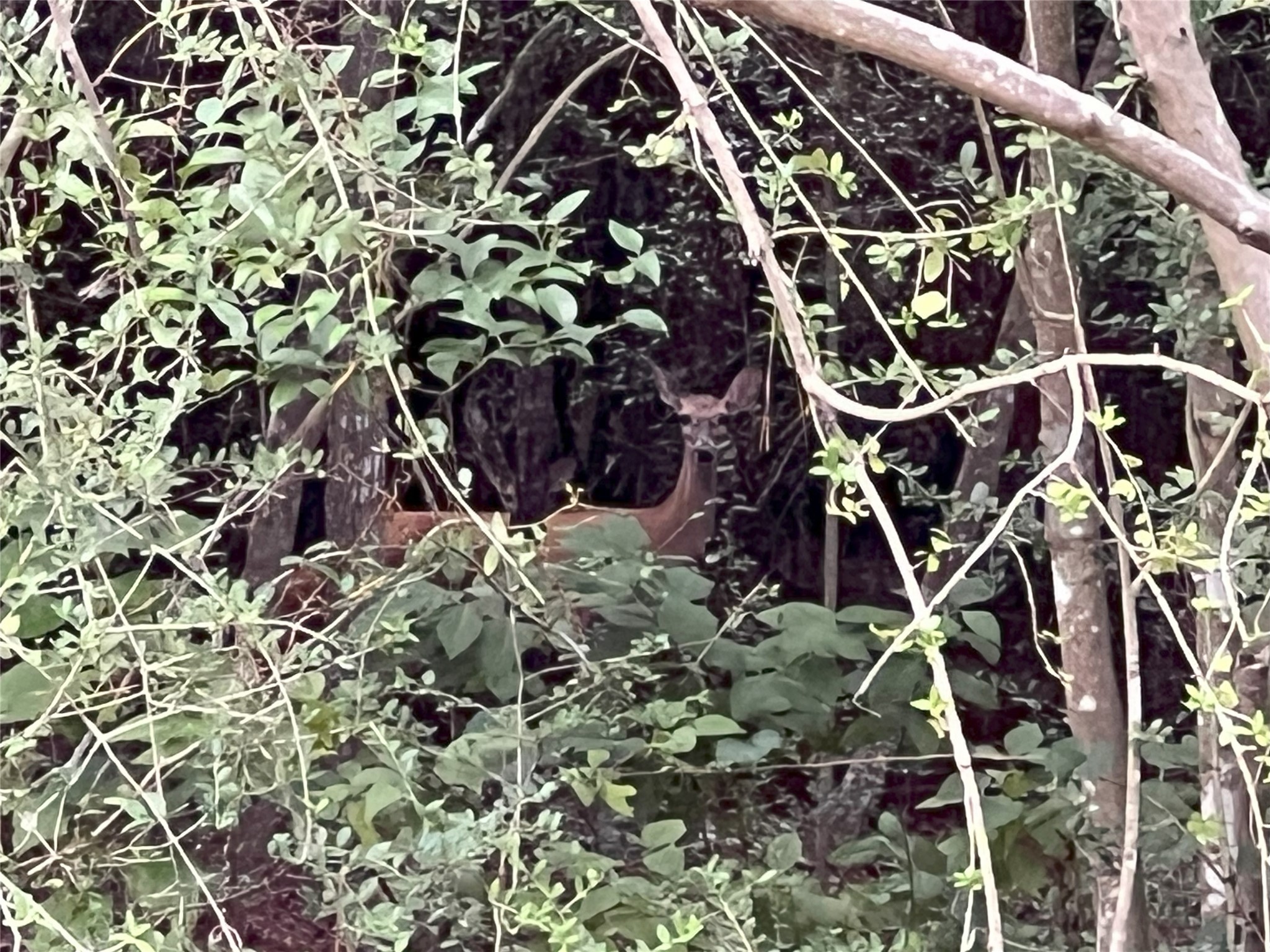 362 Rd Waller Tx 77484 Road Waller, TX 77484 - Photo 15 of 20 a view of an outdoor space