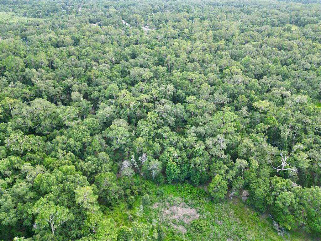 Tbd Southwest 31st Way Webster, FL 33597 - Photo 7 of 15 Gallery Image 7