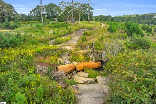 $1,350,000 | 121 Bracken Lane, Easley, SC 29642