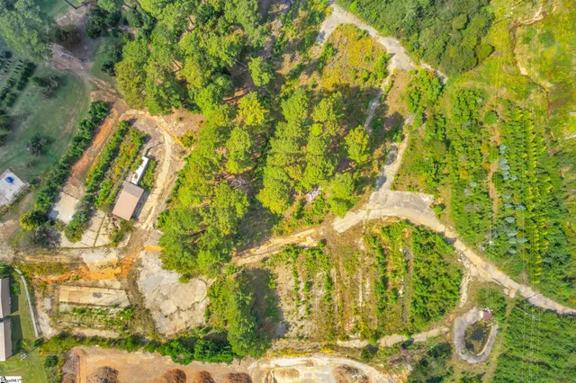 $1,350,000 | 121 Bracken Lane, Easley, SC 29642