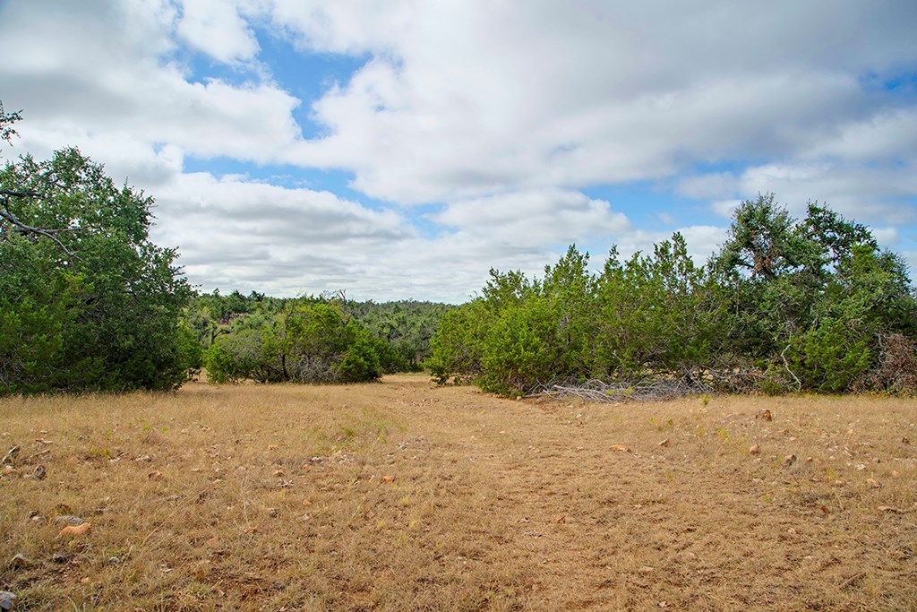 0 Reeh-Weinheimer Road Fredericksburg, TX 78624 - Photo 5 of 25 Gallery Image 5