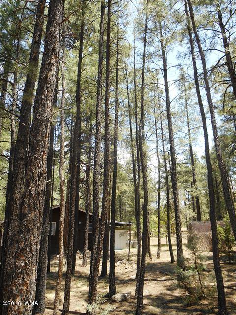 2891 Belle Road Overgaard, AZ 85933 - Photo 1 of 12