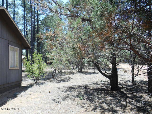 2891 Belle Road Overgaard, AZ 85933 - Photo 11 of 12