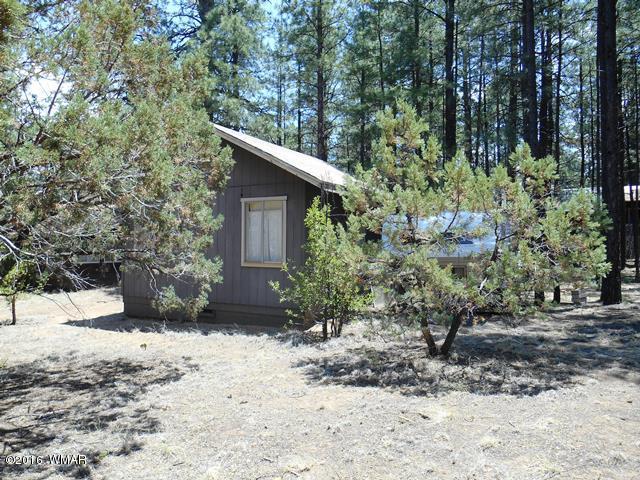 2891 Belle Road Overgaard, AZ 85933 - Photo 2 of 12