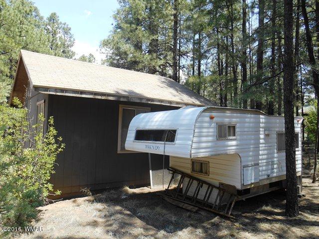 2891 Belle Road Overgaard, AZ 85933 - Photo 3 of 12