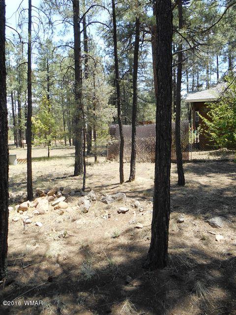 2891 Belle Road Overgaard, AZ 85933 - Photo 4 of 12