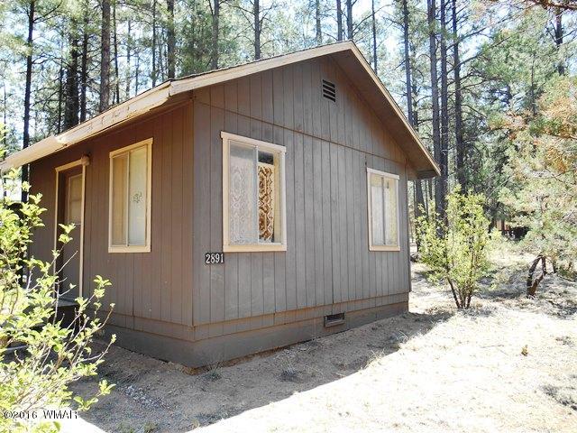 2891 Belle Road Overgaard, AZ 85933 - Photo 5 of 12