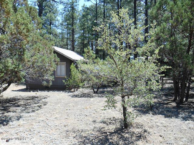 2891 Belle Road Overgaard, AZ 85933 - Photo 6 of 12