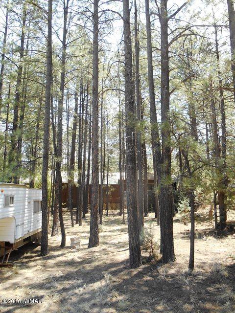 2891 Belle Road Overgaard, AZ 85933 - Photo 7 of 12