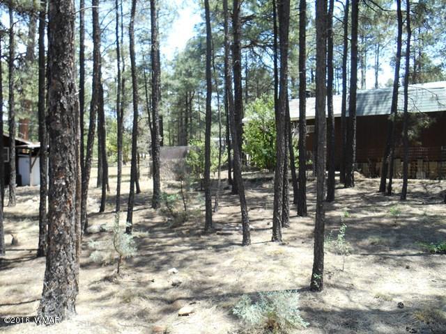 2891 Belle Road Overgaard, AZ 85933 - Photo 8 of 12