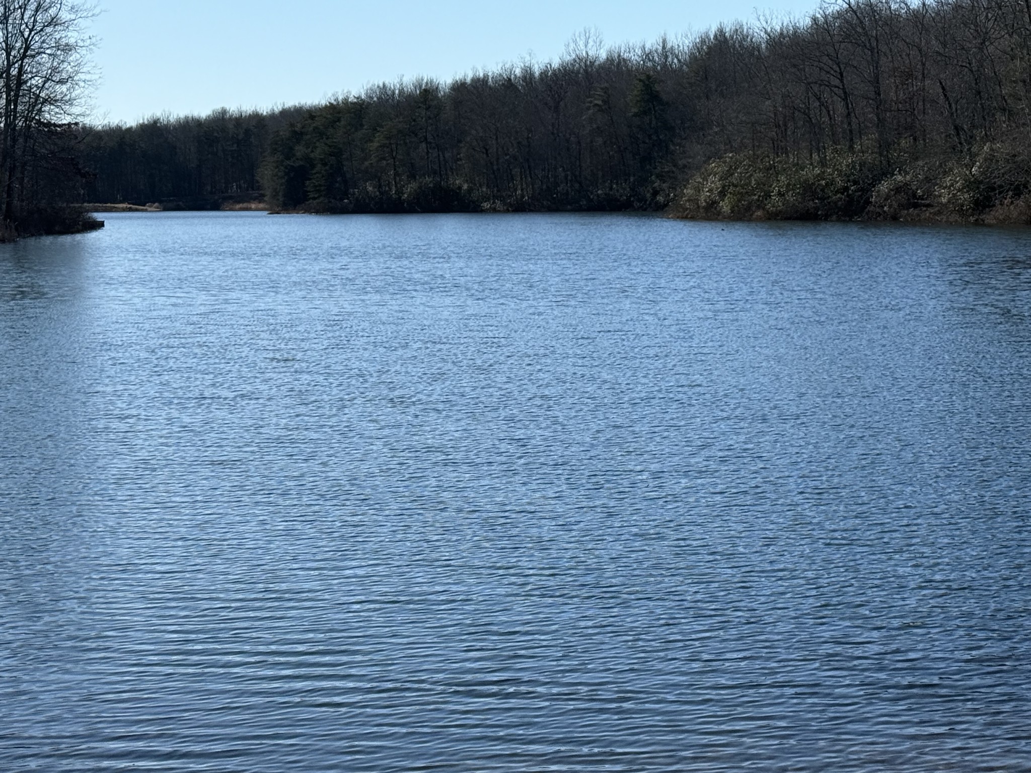 107 Chickory Lane Monteagle, TN 37356 - Photo 34 of 34