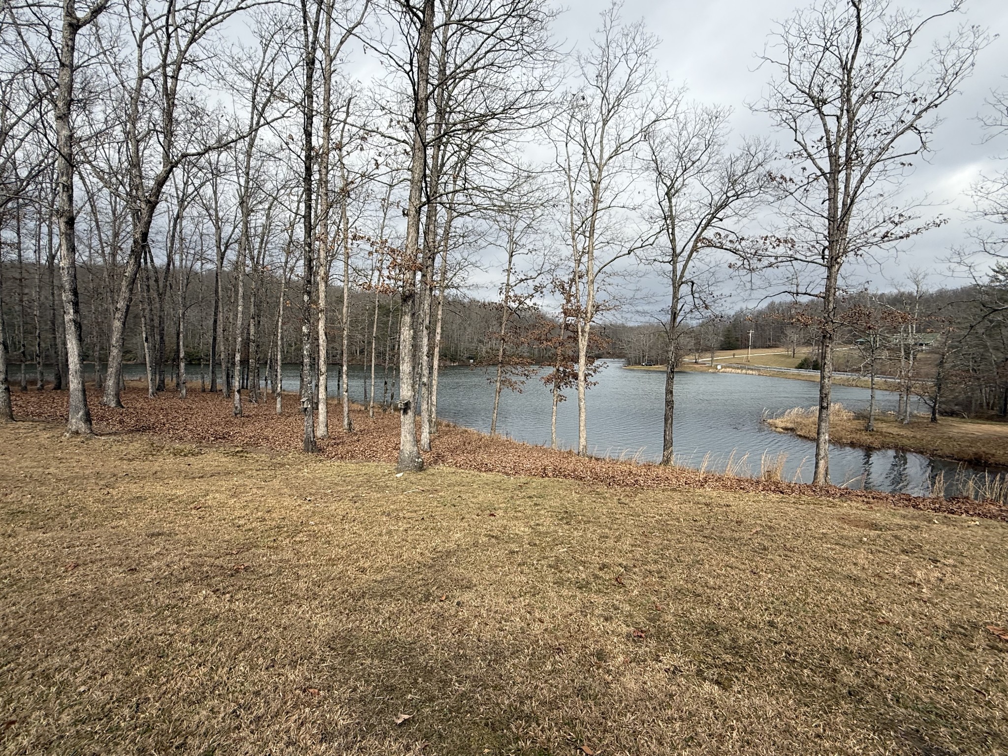 107 Chickory Lane Monteagle, TN 37356 - Photo 6 of 34 a backyard of a house with lots of tall trees